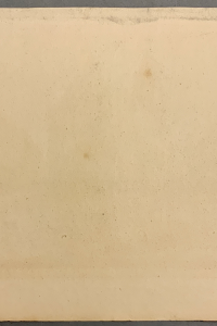IMG 2761