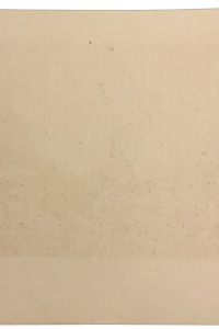 IMG 2765