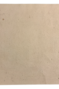 IMG 2739