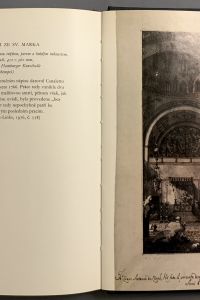 IMG 2794