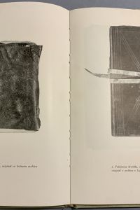IMG 3067