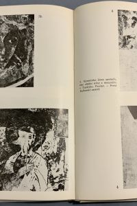 IMG 3293