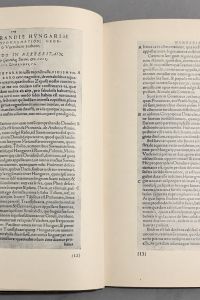 IMG 4661