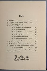 IMG 5073