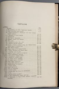 IMG 6161