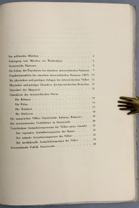 IMG 6173