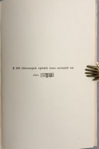 IMG 6328