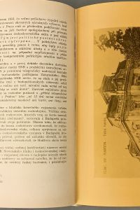 IMG 6571