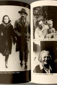 IMG 7366