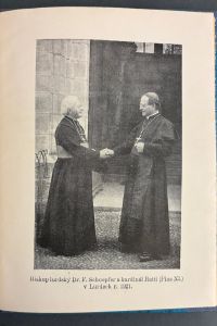 IMG 0060