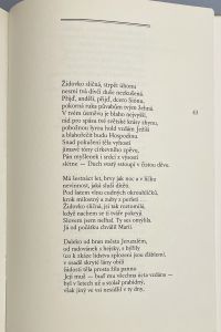 IMG 1186