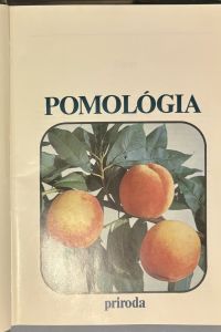IMG 0144
