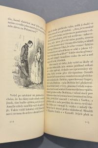 IMG 477