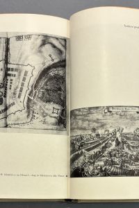 IMG 0816