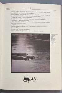 IMG 1194