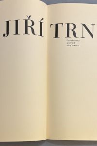 IMG 2013