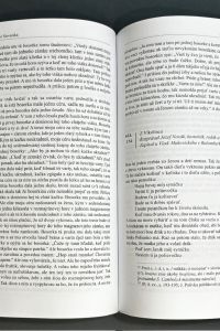 IMG 3453