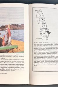 IMG 3696