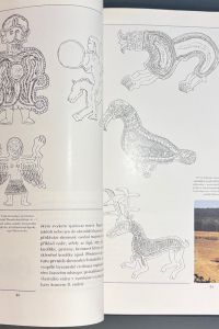 IMG 3674