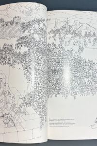 IMG 3675