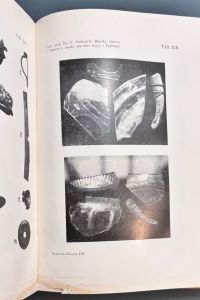 IMG 4695