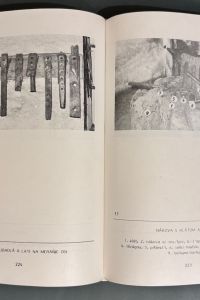 IMG 7744