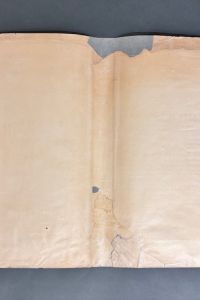 IMG 8779