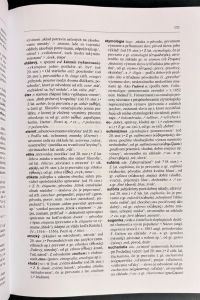 IMG 9635