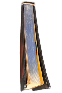 IMG 0367