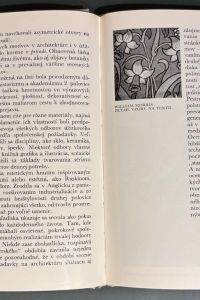 IMG 0725