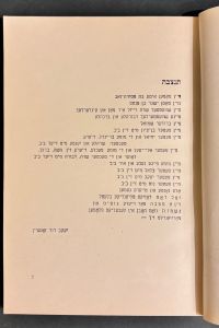 IMG 2558