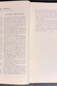 IMG 6411