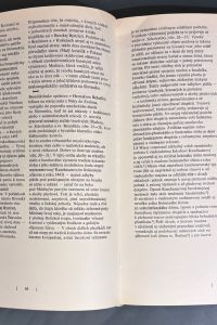 IMG 6731