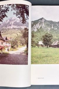 IMG 8845