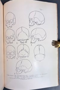 IMG 0363