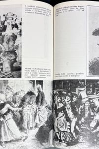 IMG 0754