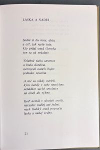 IMG 0952