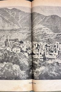 IMG 3191