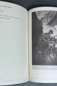 IMG 3600