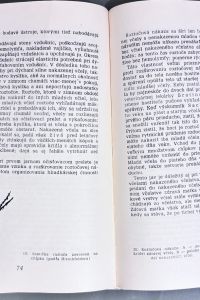 IMG 3765