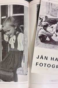 IMG 4293