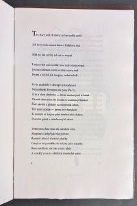 IMG 4578