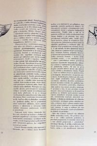IMG 4776