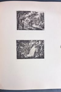 IMG 6704