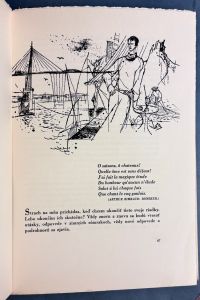 IMG 7545