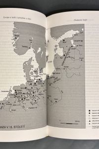 IMG 7194