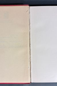 IMG 7281