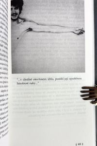 IMG 7468