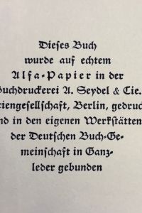 IMG 7486
