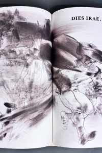 IMG 7512